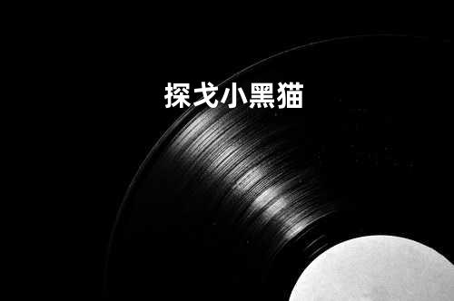 探戈小黑猫