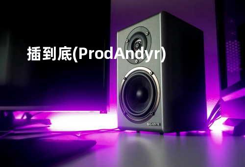 插到底 (Prod.Andyr)