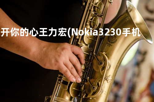 放开你的心 - 王力宏 (Nokia 3230手机广告曲)