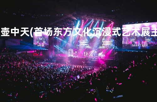 新壶中天 (首场东方文化沉浸式艺术展主题曲)