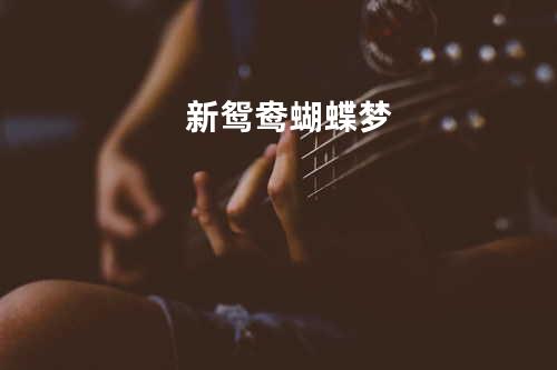 新鸳鸯蝴蝶梦