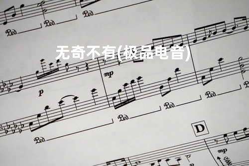 无奇不有(极品电音)