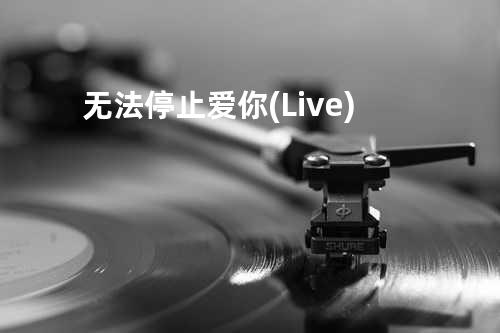 无法停止爱你(Live)
