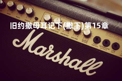 旧约撒母耳记下(撒下)第15章