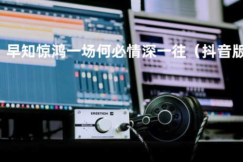 早知惊鸿一场何必情深一往(抖音版)