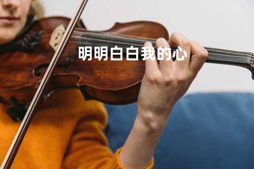 明明白白我的心