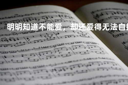 明明知道不能爱,却还爱得无法自拔