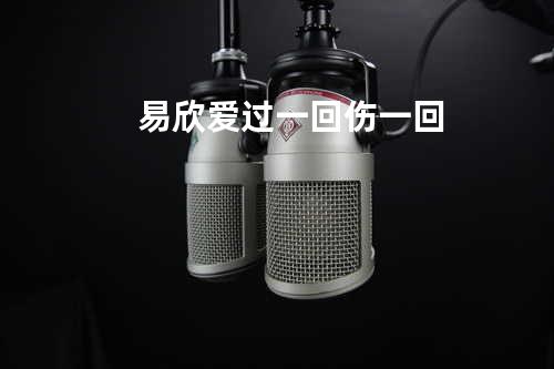 易欣 - 爱过一回伤一回