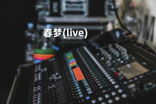 春梦 (live)