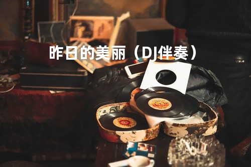 昨日的美丽(DJ伴奏)