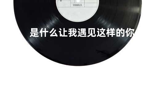 是什么让我遇见这样的你