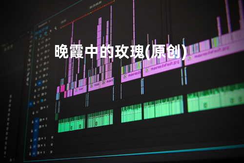 晚霞中的玫瑰(原创)