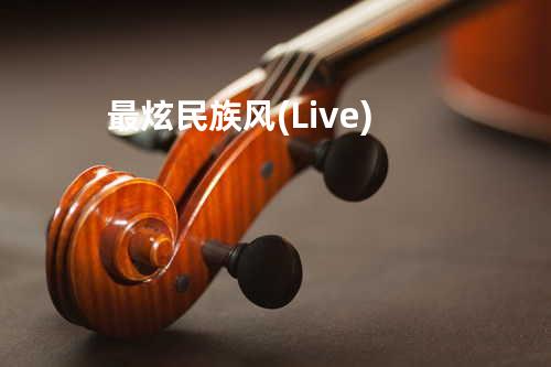 最炫民族风(Live)