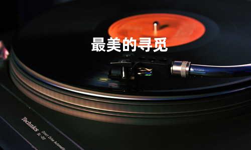 最美的寻觅
