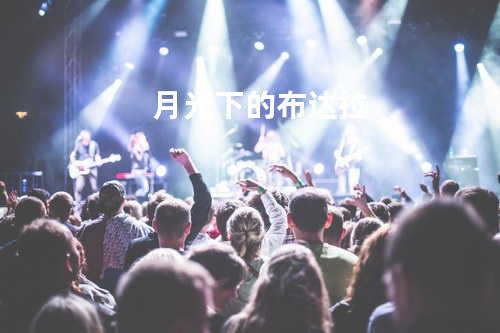 月光下的布达拉