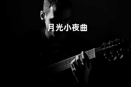 月光小夜曲