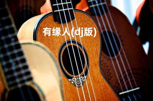 有缘人 (dj版)