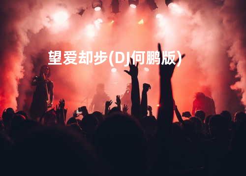 望爱却步 (DJ何鹏版)