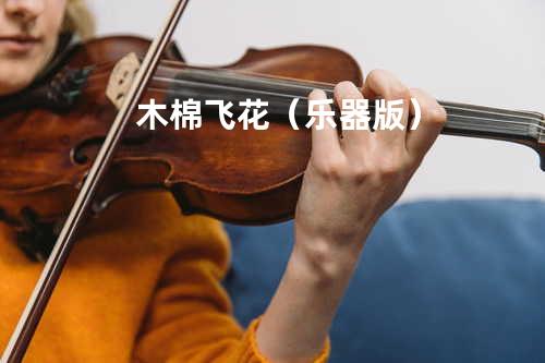 木棉飞花(乐器版)