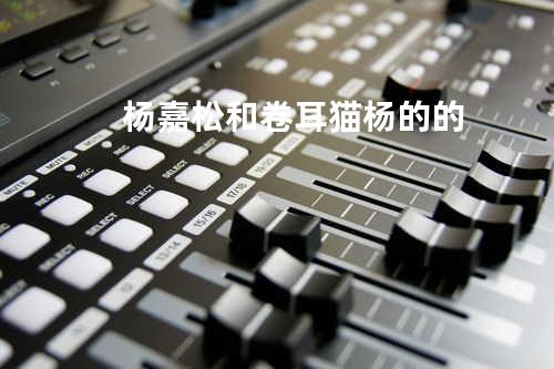 杨嘉松和卷耳猫杨的的