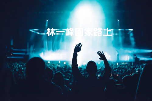 林一峰 - 回家路上