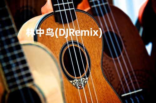 林中鸟 (DJRemix)