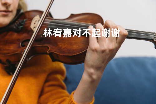 林宥嘉-对不起谢谢