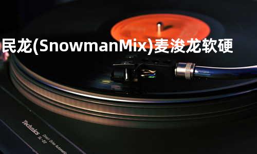 林民龙 (Snowman Mix) - 麦浚龙&软硬天师