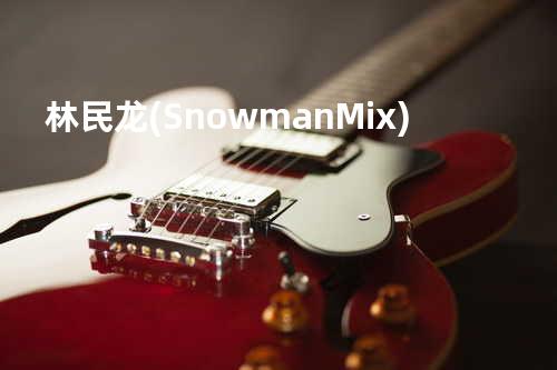 林民龙 (Snowman Mix)