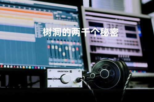 树洞的两千个秘密