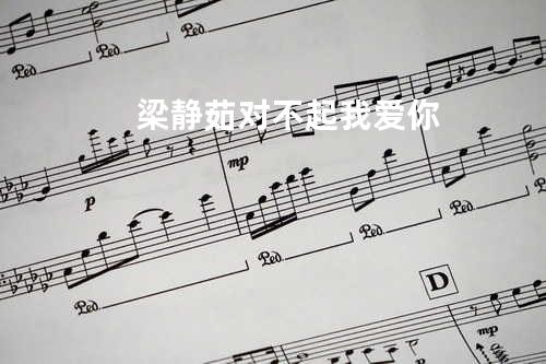 梁静茹-对不起我爱你