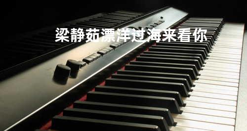 梁静茹-漂洋过海来看你