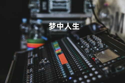 梦中人生