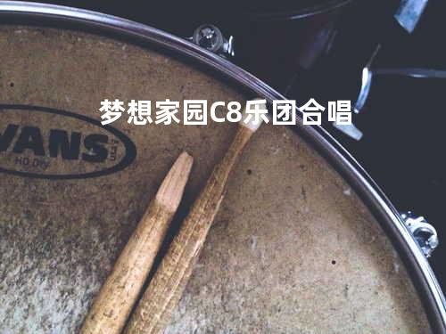 梦想家园-C8乐团合唱