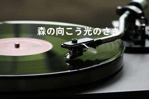 森の向こう 光のさき