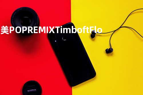 欧美POP REMIX Timbo ft. Flo Rida & Shakria Give It