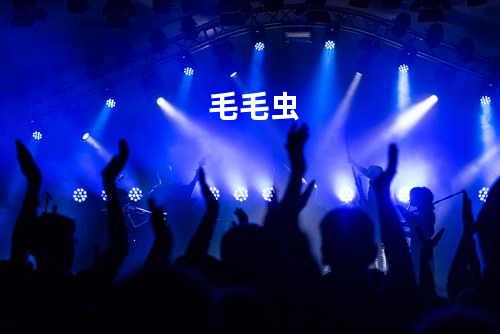 毛毛虫