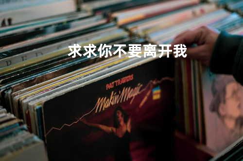 求求你不要离开我