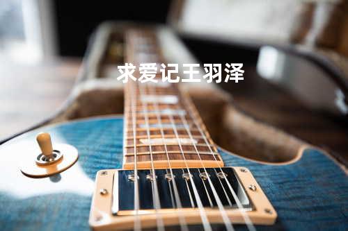 求爱记 - 王羽泽