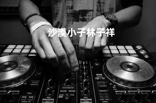 沙漠小子 林子祥