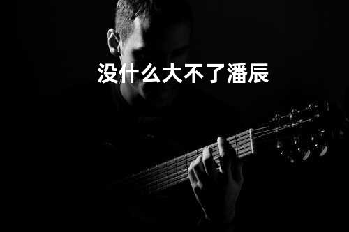 没什么大不了 潘辰