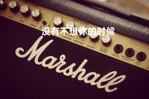 没有不想你的时候