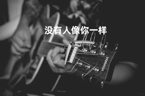 没有人像你一样
