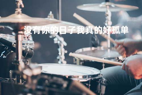 没有你的日子我真的好孤单