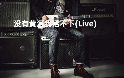 没有黄河我活不下(Live)