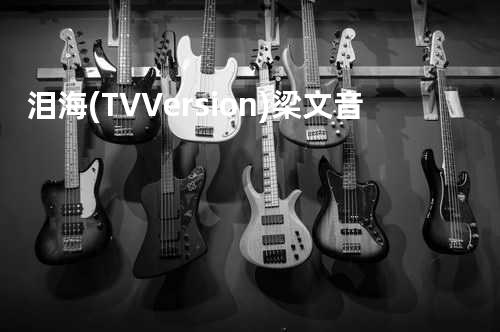 泪海(TV Version) - 梁文音