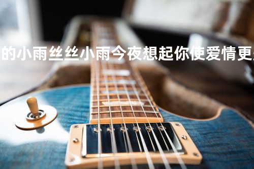 泪的小雨&丝丝小雨&今夜想起你&使爱情更美丽&我瞭解你&再见我的爱人