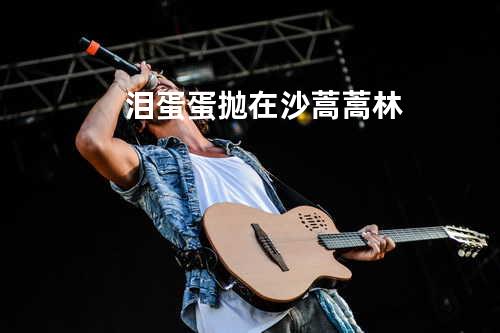 泪蛋蛋抛在沙蒿蒿林