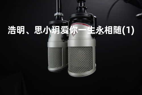 浩明、思小玥 - 爱你一生永相随(1)