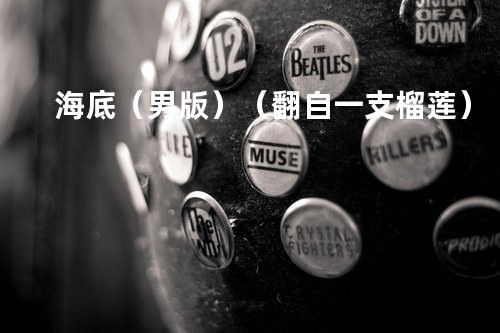 海底(男版)(翻自 一支榴莲)